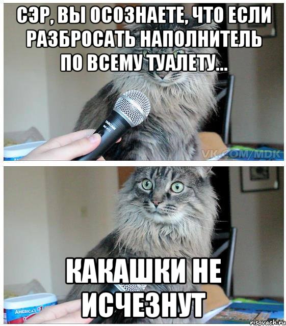 Сэр, вы осознаете, что если разбросать наполнитель по всему туалету... Какашки не исчезнут, Комикс  кот с микрофоном