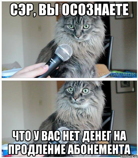 сэр, вы осознаете что у вас нет денег на продление абонемента, Комикс  кот с микрофоном