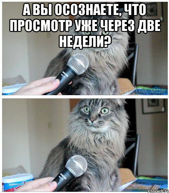 А вы осознаете, что просмотр уже через две недели? , Комикс  кот с микрофоном