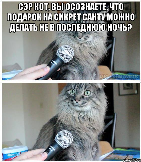 Сэр кот, вы осознаете, что подарок на Сикрет Санту можно делать не в последнюю ночь? , Комикс  кот с микрофоном