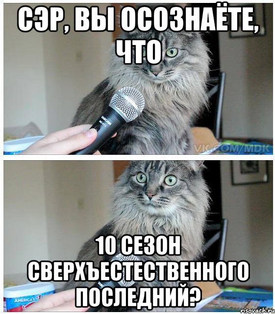 СЭР, ВЫ ОСОЗНАЁТЕ, ЧТО 10 СЕЗОН СВЕРХЪЕСТЕСТВЕННОГО ПОСЛЕДНИЙ?, Комикс  кот с микрофоном