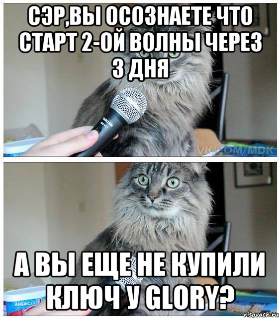 Сэр,вы осознаете что старт 2-ой волны через 3 дня А вы еще не купили ключ у Glory?, Комикс  кот с микрофоном