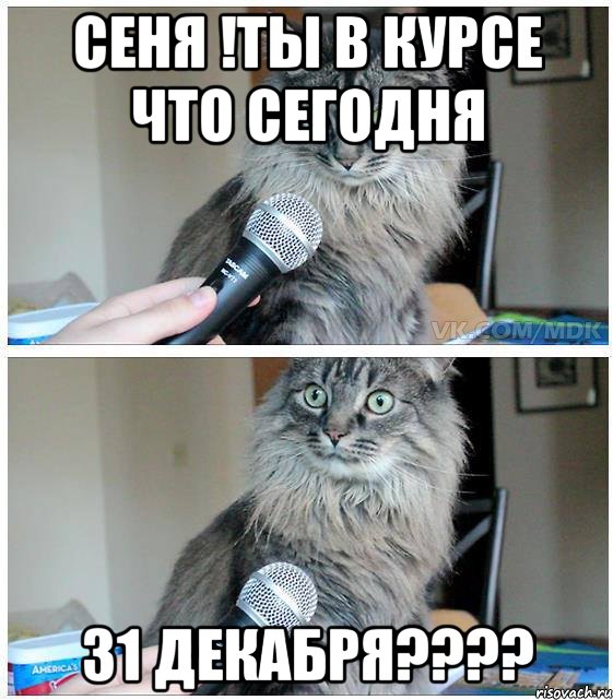 Кот сошел