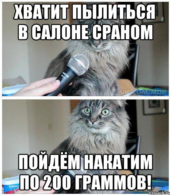 ХВАТИТ ПЫЛИТЬСЯ В САЛОНЕ СРАНОМ ПОЙДЁМ НАКАТИМ ПО 200 ГРАММОВ!, Комикс  кот с микрофоном