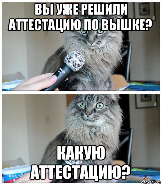 Вы уже решили аттестацию по вышке? Какую аттестацию?, Комикс  кот с микрофоном