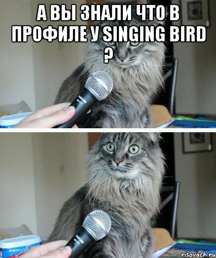 а вы знали что в профиле у Singing bird ? , Комикс  кот с микрофоном