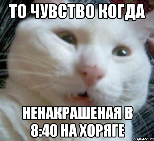 то чувство когда ненакрашеная в 8:40 на хоряге, Мем Котэ позитивный