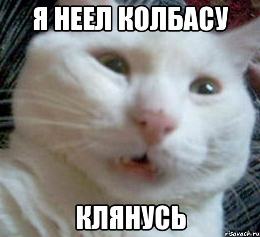 я неел колбасу клянусь