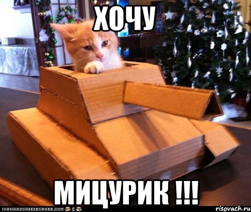 Хочу мицурик !!!, Мем Котэ танкист