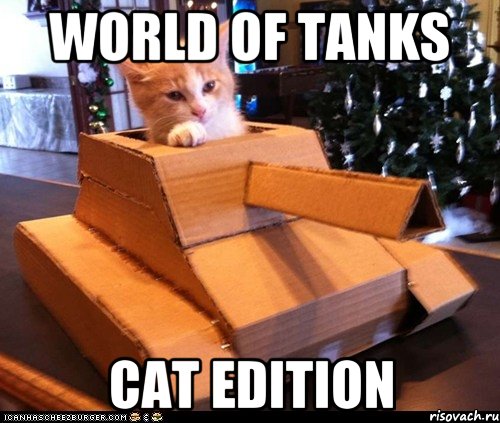 world of tanks cat edition, Мем Котэ танкист