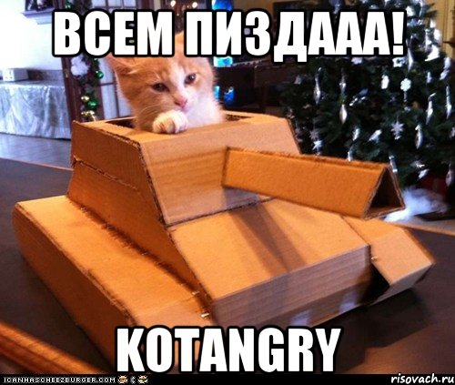 Всем пиздааа! KOTANGRY, Мем Котэ танкист