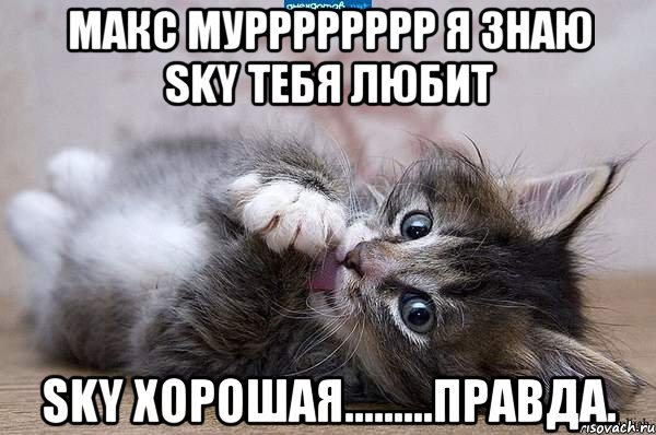 Макс мурррррррр я знаю SKY тебя любит SKY хорошая.........правда.