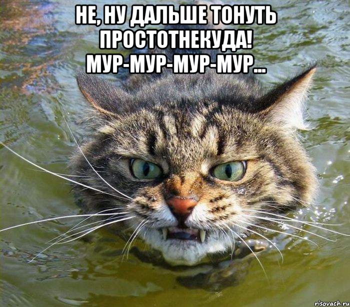 не, ну дальше тонуть простотнекуда! Мур-мур-мур-мур... , Мем котэ