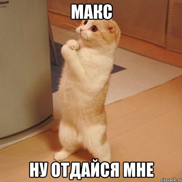 Макс Ну отдайся мне, Мем  котэ молится