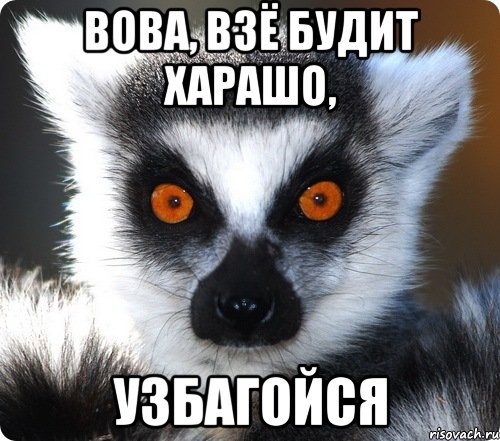 Вовчик дзен. Збагойна. Никита узбагойся. Узбагойся просто узбагойся. Вика узбагойся.