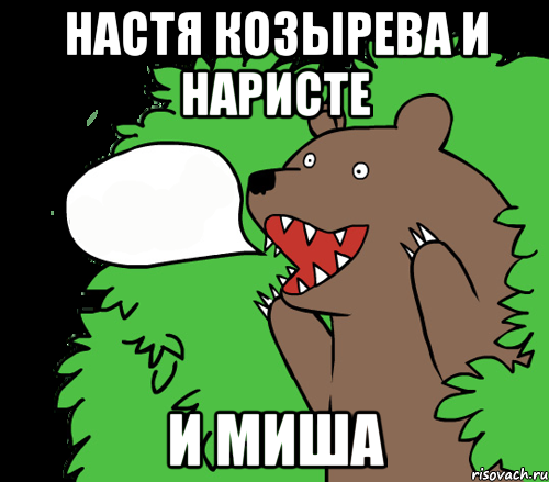 Настя Козырева и Наристе И Миша, Комикс медведь из кустов