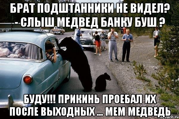 брат подштанники не видел? - слыш медвед банку буш ? буду!!! Прикинь проебал их после выходных ... Мем медведь