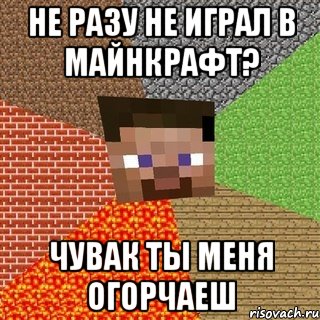 Не разу не играл в майнкрафт? Чувак ты меня огорчаеш