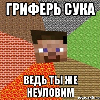 ГРИФЕРЬ СУКА ВЕДЬ ТЫ ЖЕ НЕУЛОВИМ, Мем Миникрафтер