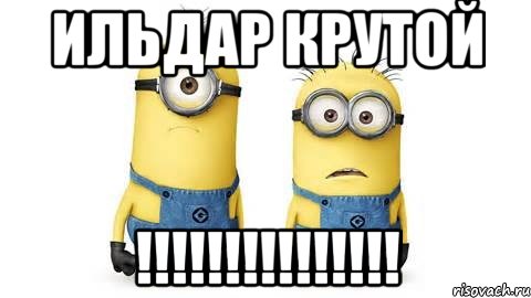 Ильдар крутой !!!!!!!!!!!!!!!, Мем Миньоны