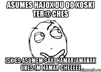 ASUMES HAJOX DU QO XOSKI TER@ CHES ISK ES ASUMEM SAXI HAMARJAMANAK UNES IM HAMAR CHEEEEE, Мем Мне кажется или