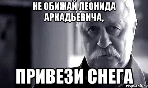 не обижай Леонида Аркадьевича, привези снега, Мем Не огорчай Леонида Аркадьевича