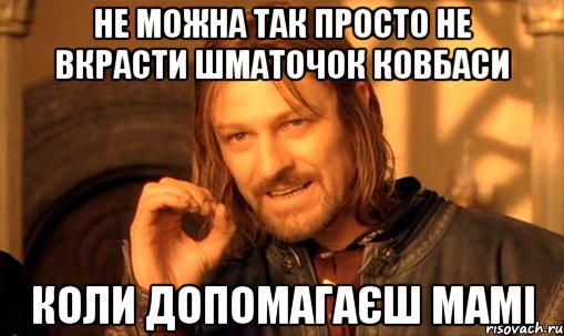 не можна так просто не вкрасти шматочок ковбаси коли допомагаєш мамі, Мем Нельзя просто так взять и (Боромир мем)