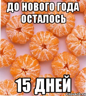 До Нового Года осталось 15 дней, Мем  НОВОГОДНИЕ СЕМКИ