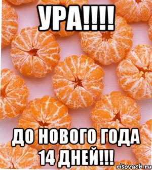 уРА!!!! ДО НОВОГО ГОДА 14 ДНЕЙ!!!