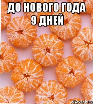 до нового года 9 дней , Мем  НОВОГОДНИЕ СЕМКИ