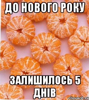 До Нового Року залишилось 5 днів, Мем  НОВОГОДНИЕ СЕМКИ