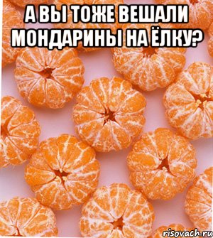 А вы тоже вешали мондарины на ёлку? , Мем  НОВОГОДНИЕ СЕМКИ