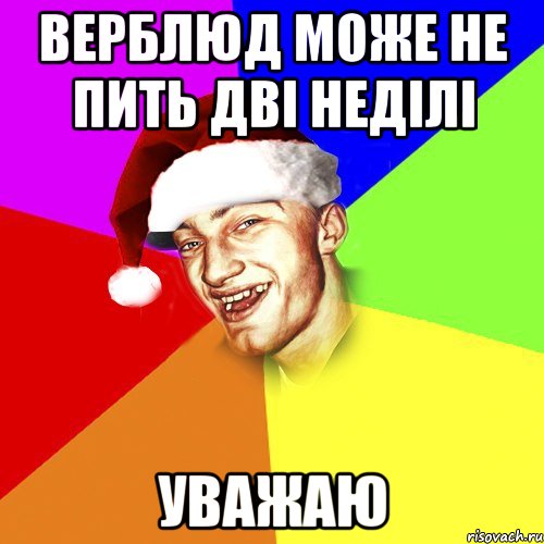 Верблюд може не пить дві неділі Уважаю, Мем Новогоднй Чоткий Едк