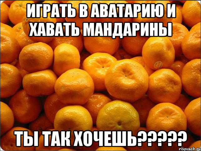 30 мандаринов. Мемы про мандарины. Новогодние мемы мандарины. Я люблю мандарины. Объелся мандаринов.