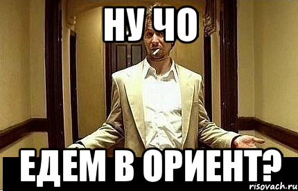 Ну чо Едем в ориент?