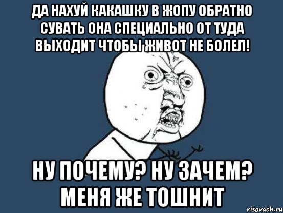 да нахуй какашку в жопу обратно сувать она специально от туда выходит чтобы живот не болел! ну почему? ну зачем? меня же тошнит, Мем Ну почему