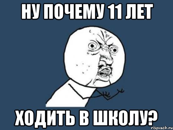 НУ ПОЧЕМУ 11 ЛЕТ ХОДИТЬ В ШКОЛУ?, Мем Ну почему