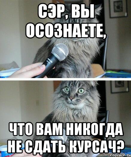 Сэр, вы осознаете, что вам никогда не сдать курсач?, Комикс  кот с микрофоном