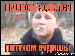 Пашком родился Питухом будишь!, Мем Опасный поцык