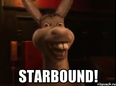  Starbound!