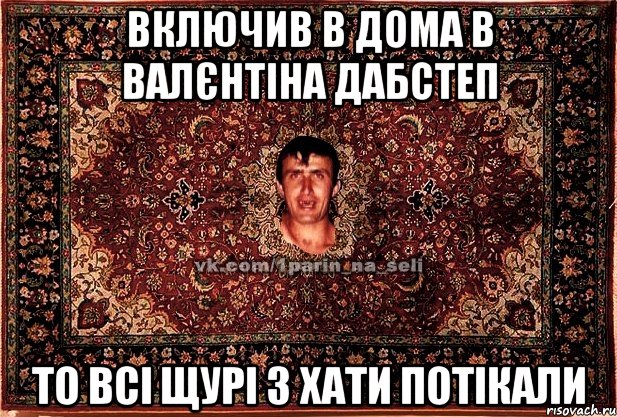 включив в дома в Валєнтіна ДабСтеп То всі Щурі з хати потікали, Мем Парнь на сел