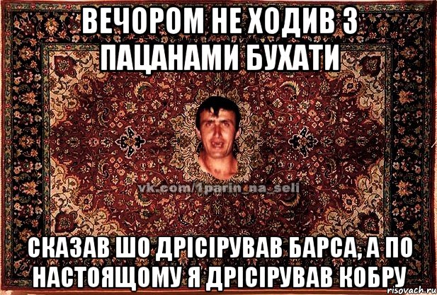 вечором не ходив з пацанами бухати сказав шо дрісірував барса, а по настоящому я дрісірував кобру, Мем Парнь на сел