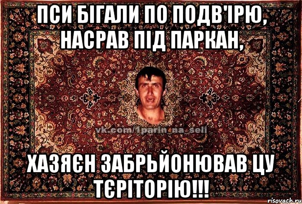 пси бігали по подв'ірю, насрав під паркан, хазяєн забрьйонював цу тєріторію!!!, Мем Парнь на сел