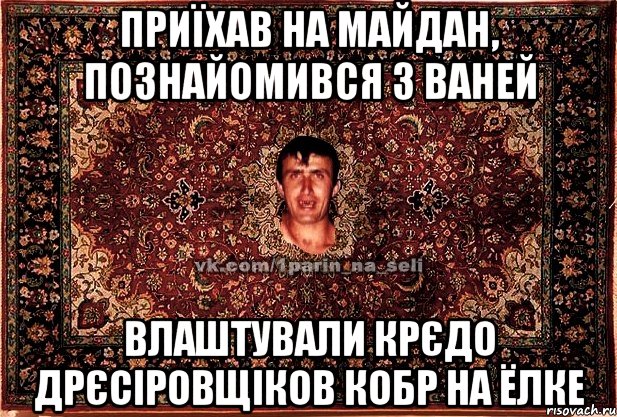 Приїхав на майдан, познайомився з Ваней влаштували крєдо дрєсіровщіков кобр на ёлке, Мем Парнь на сел