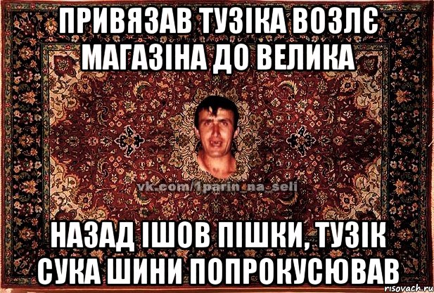 привязав тузіка возлє магазіна до велика назад ішов пішки, тузік сука шини попрокусював, Мем Парнь на сел