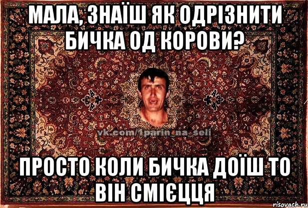 мала, знаїш як одрізнити бичка од корови? просто коли бичка доїш то він смієцця, Мем Парнь на сел