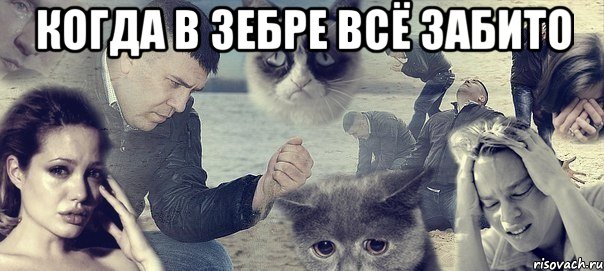 Когда в Зебре всё забито , Мем Грусть вселенская