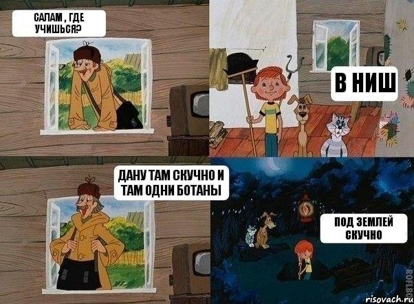 салам , где учишься? в НИШ дану там скучно и там одни ботаны под землей скучно, Комикс  Простоквашино (Печкин)