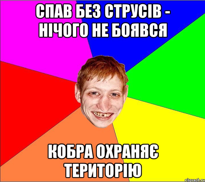 спав без струсів - нічого не боявся кобра охраняє територію, Мем Петро Бампер