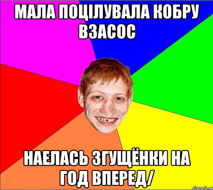 мала поцiлувала кобру взасос наелась згущёнки на год вперед/, Мем Петро Бампер